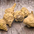 Meta Melt Maco Root Extract