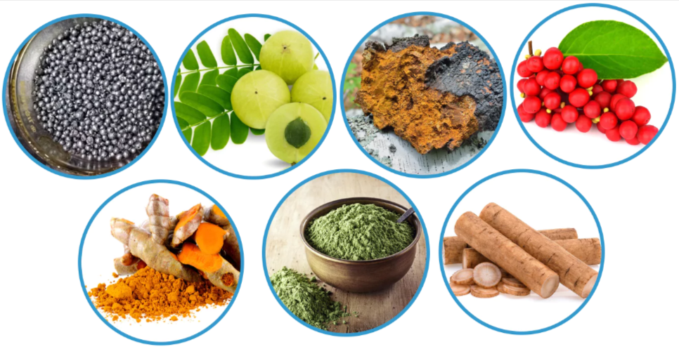 Pineal XT Ingredients