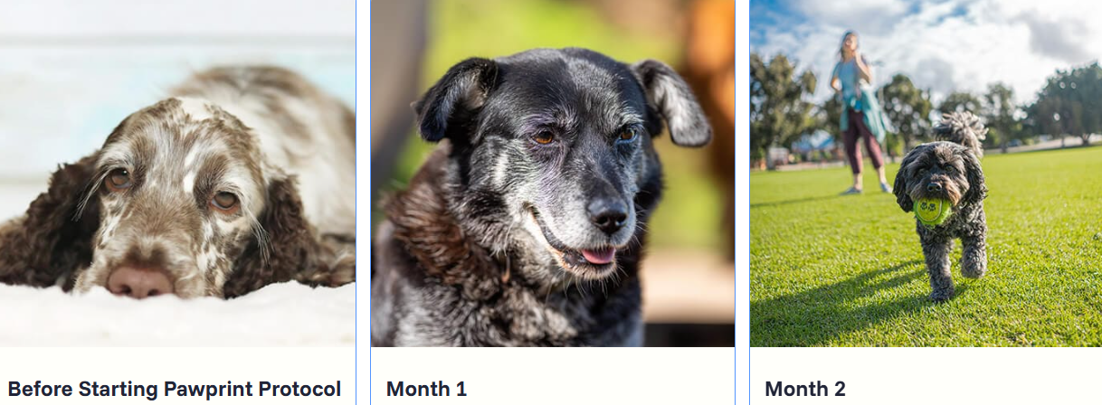 PawPrint Protocol Benefits